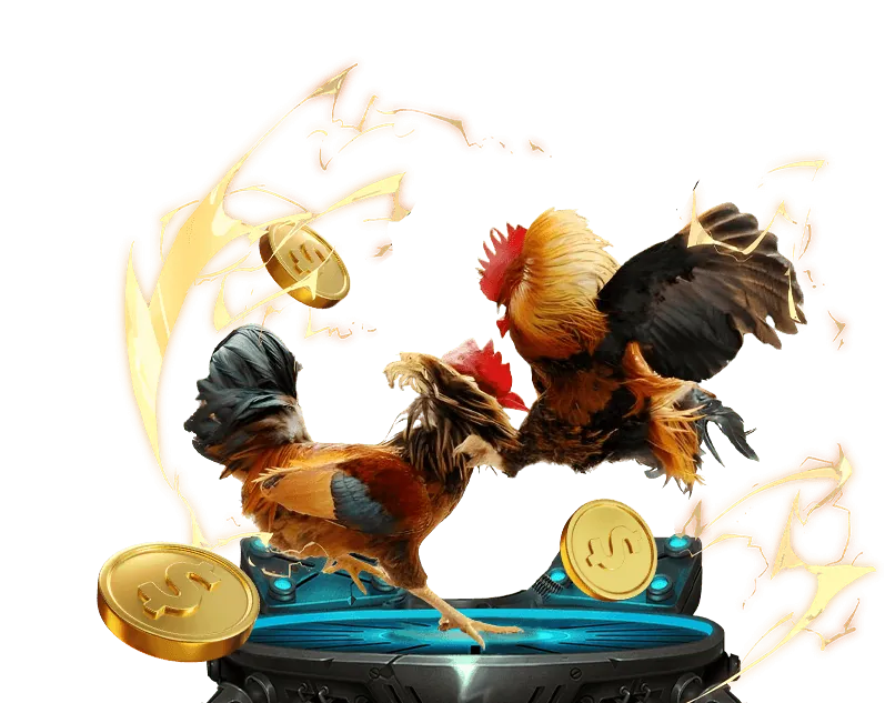 Cam kết của bong da lu 6